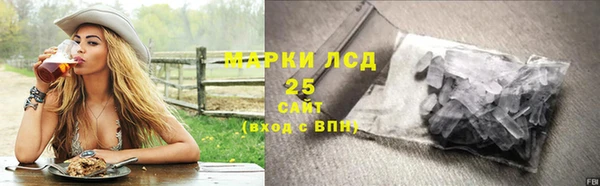 хмурый Гусев