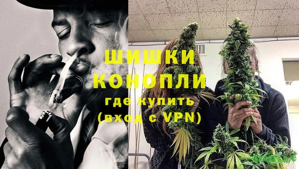 ECSTASY Аша