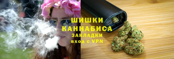 хмурый Гусев