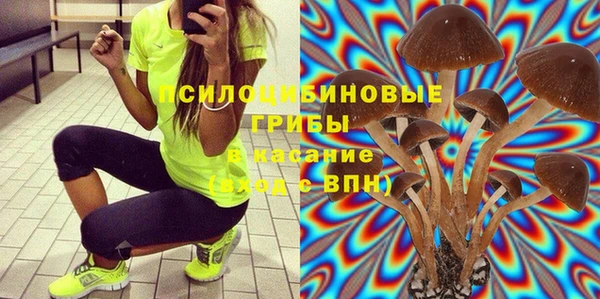 соль ск Гусь-Хрустальный